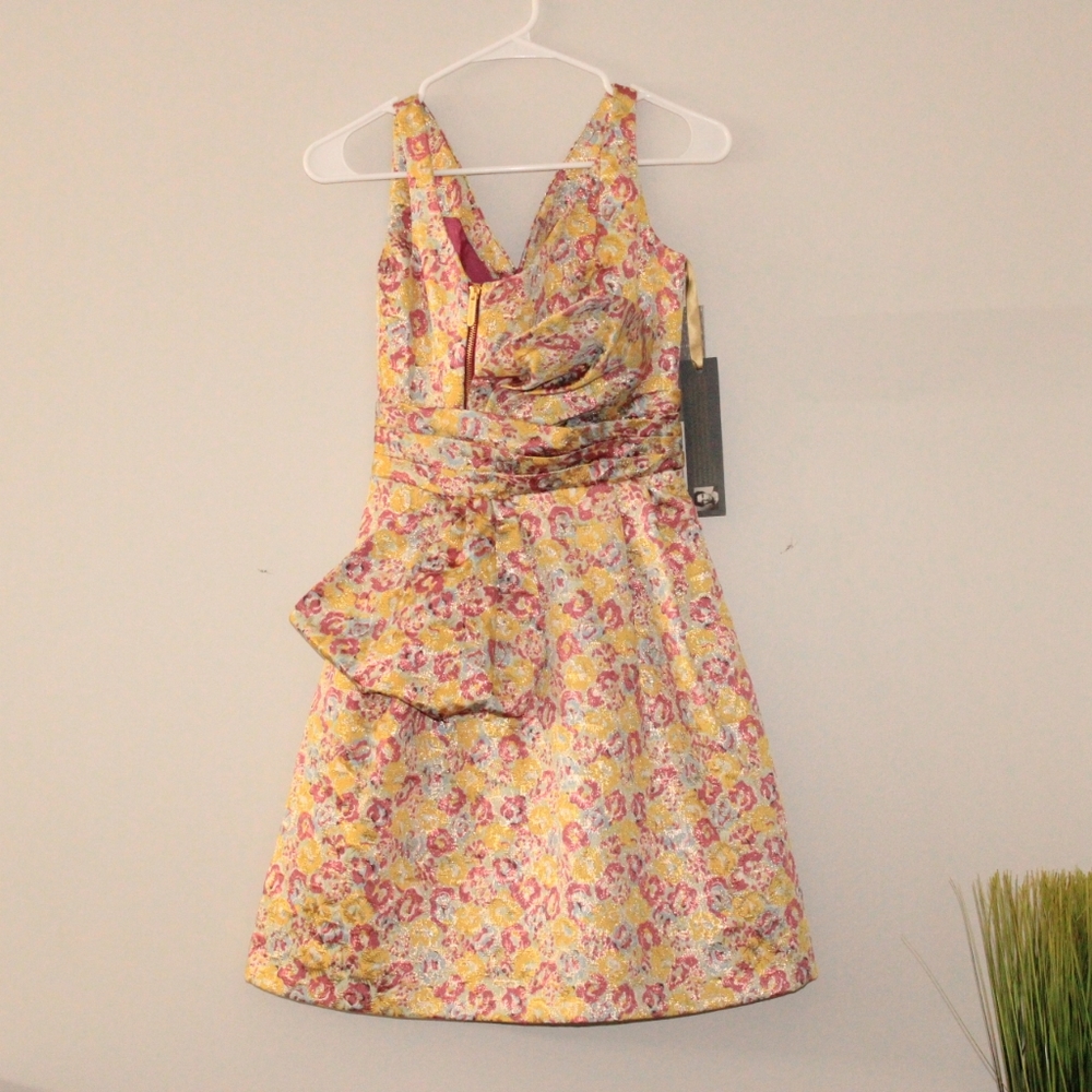Zac Posen Target Dress
